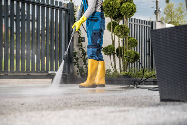 Best Roof Power Washing Services  in East Bethel, MN
