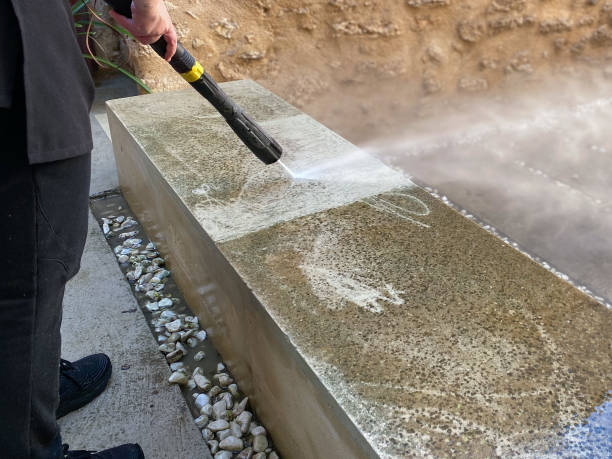 Best Exterior Home Cleaning  in East Bethel, MN